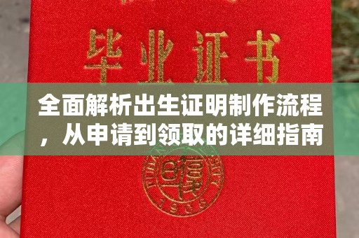 金凤全面解析出生证明制作流程，从申请到领取的详细指南