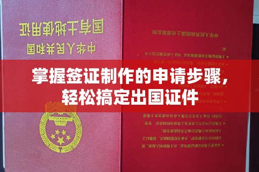 金凤掌握签证制作的申请步骤，轻松搞定出国证件