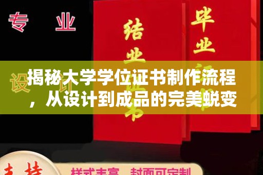 金凤揭秘大学学位证书制作流程，从设计到成品的完美蜕变