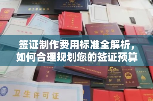 金凤签证制作费用标准全解析，如何合理规划您的签证预算？